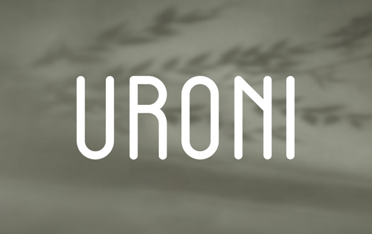 Uroni 天然香味蜡烛品牌的品牌vi形象设计
